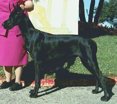 Seven, photo 9