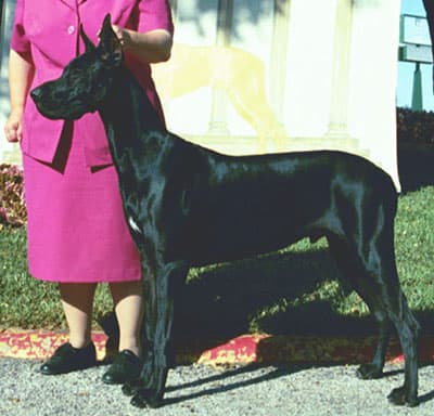 Seven, photo 10