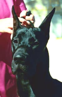 Seven, photo 11