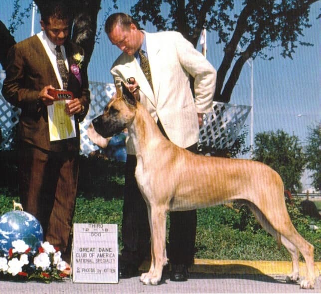 Jagger, photo 2