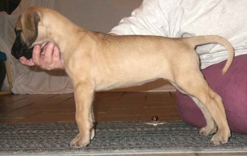 Lois Lane, photo 7