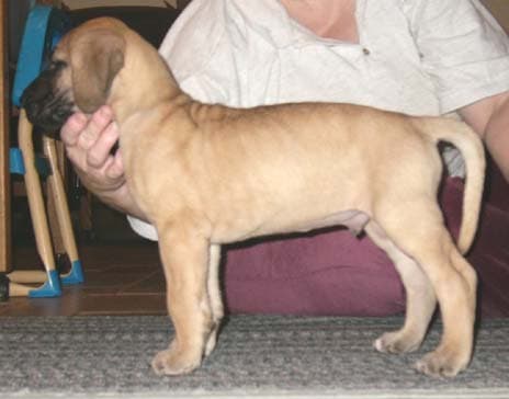 Archie Bunker, photo 16