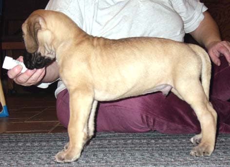Archie Bunker, photo 14