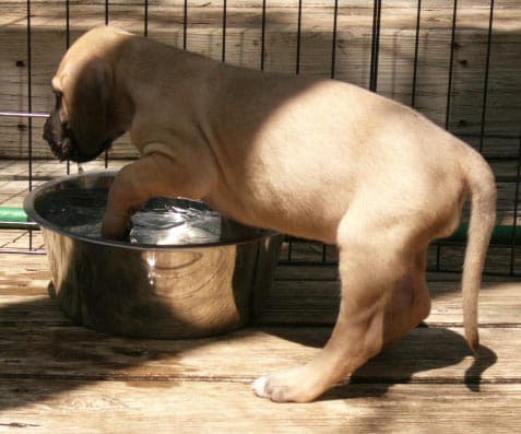 Kyra, photo 24