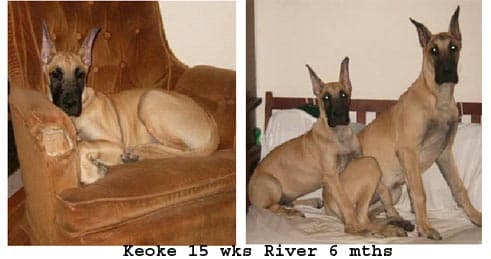 Keoke, photo 21