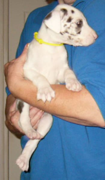 Bernadette, photo 11