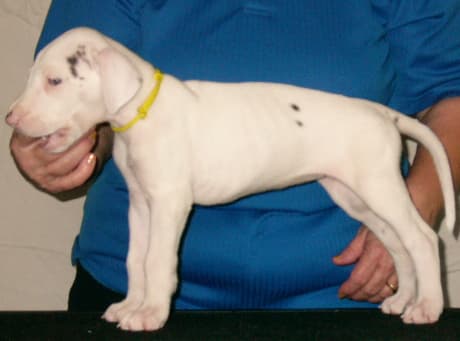 Bernadette, photo 2