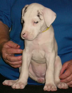 Bernadette, photo 6