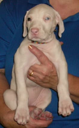 Amy, photo 1