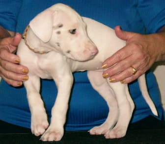 Amy, photo 2