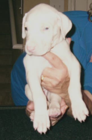 Amy, photo 7