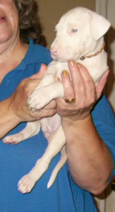 Amy, photo 10