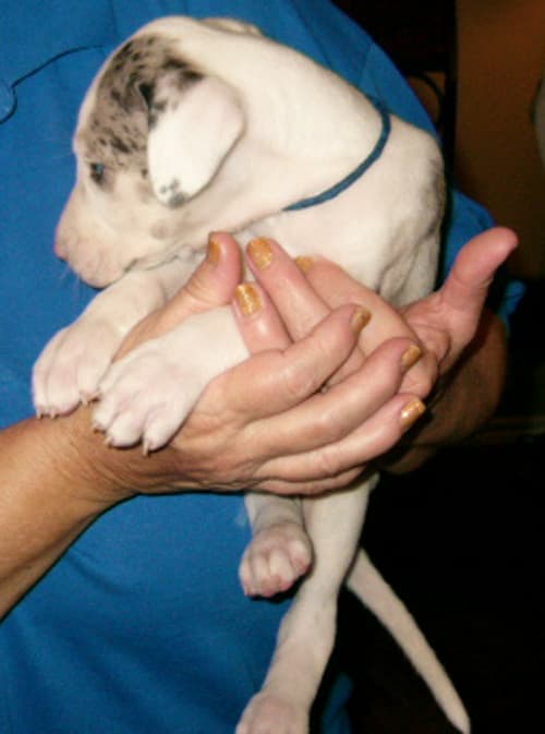 Leonard, photo 11