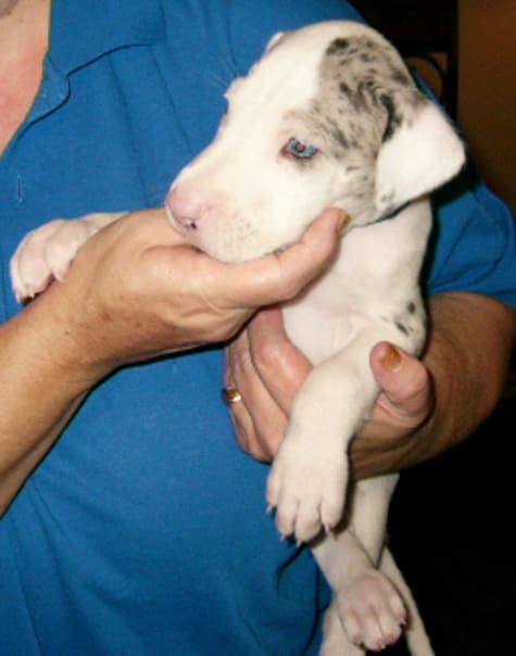 Leonard, photo 12