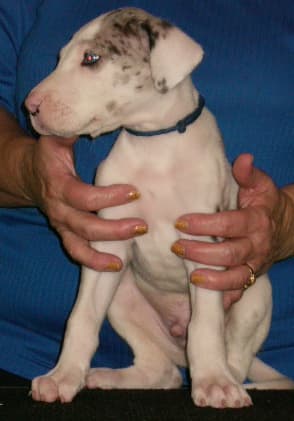 Leonard, photo 6
