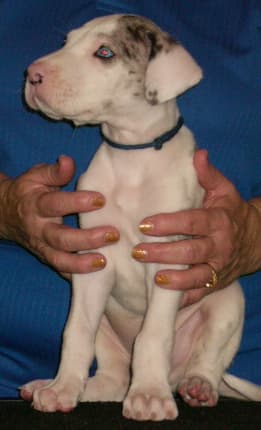Leonard, photo 7