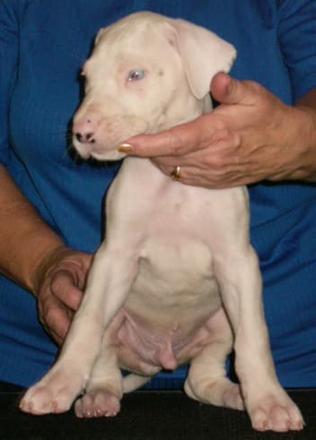 Stuart, photo 1