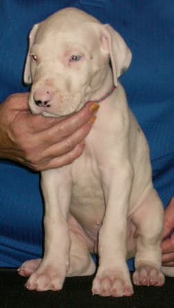 Stuart, photo 2