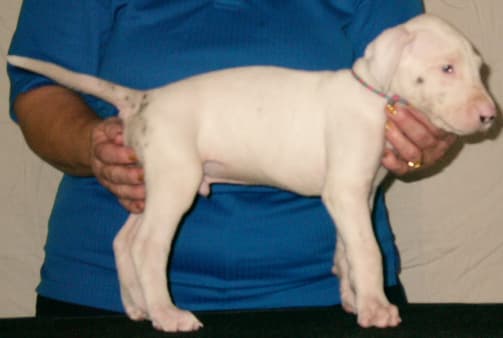Stuart, photo 3