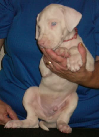 Zach, photo 2