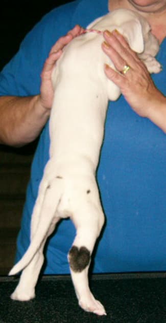 Zach, photo 8