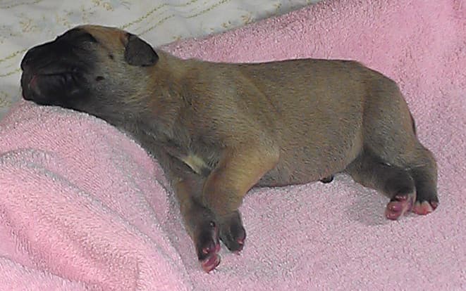 Katie, photo 20