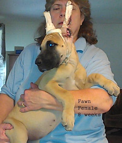 Katie, photo 5