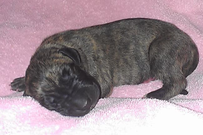 Shiloh Rose, photo 14