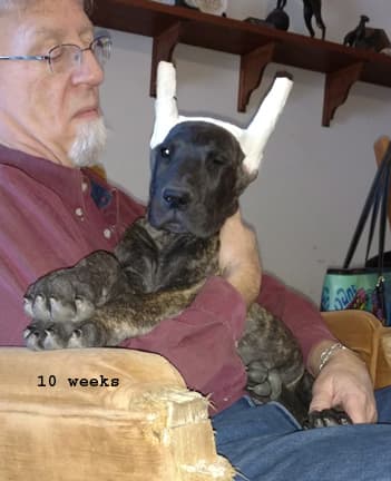 Kenai, photo 6