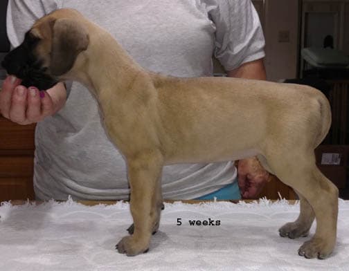 Wilma, photo 26