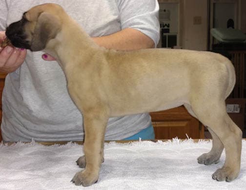 Wilma, photo 28