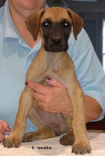 Wilma, photo 25