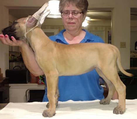 Wilma, photo 18