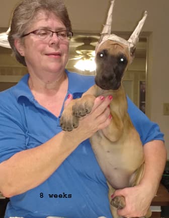 Wilma, photo 19