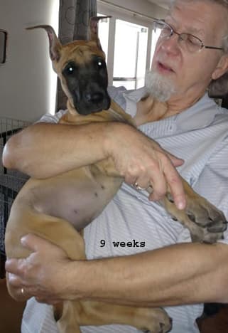 Wilma, photo 12