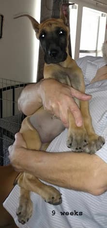 Wilma, photo 14