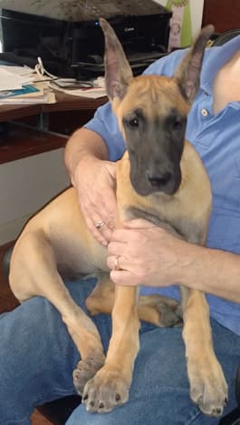 Wilma, photo 2