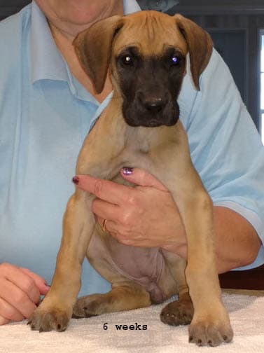 Wilma, photo 21