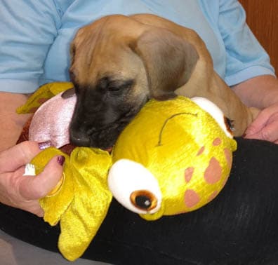 Wilma, photo 22