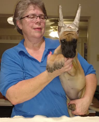 Wilma, photo 17