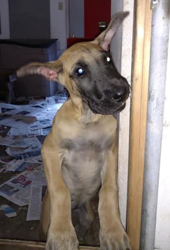 Wilma, photo 6