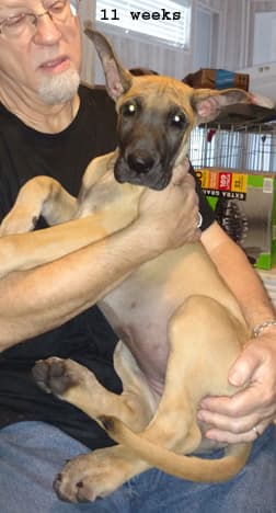 Wilma, photo 5
