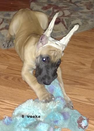 Wilma, photo 15
