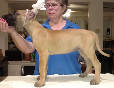Wilma, photo 16