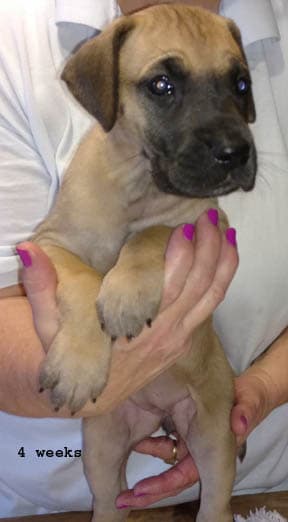 Wilma, photo 31