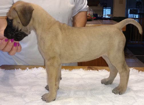 Wilma, photo 32