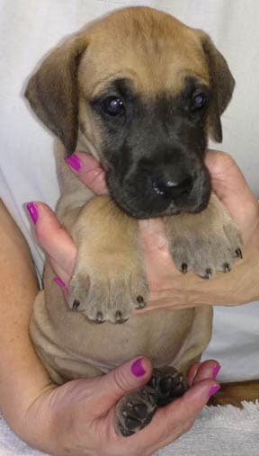 Wilma, photo 33