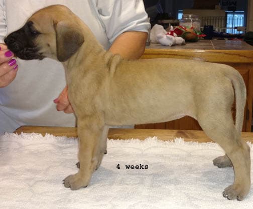 Wilma, photo 35