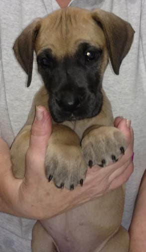 Wilma, photo 27