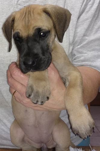 Wilma, photo 29